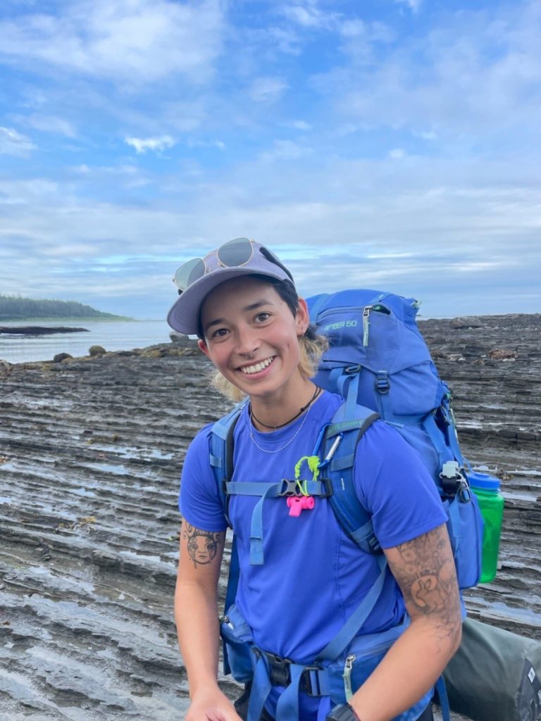 Decorative page header image