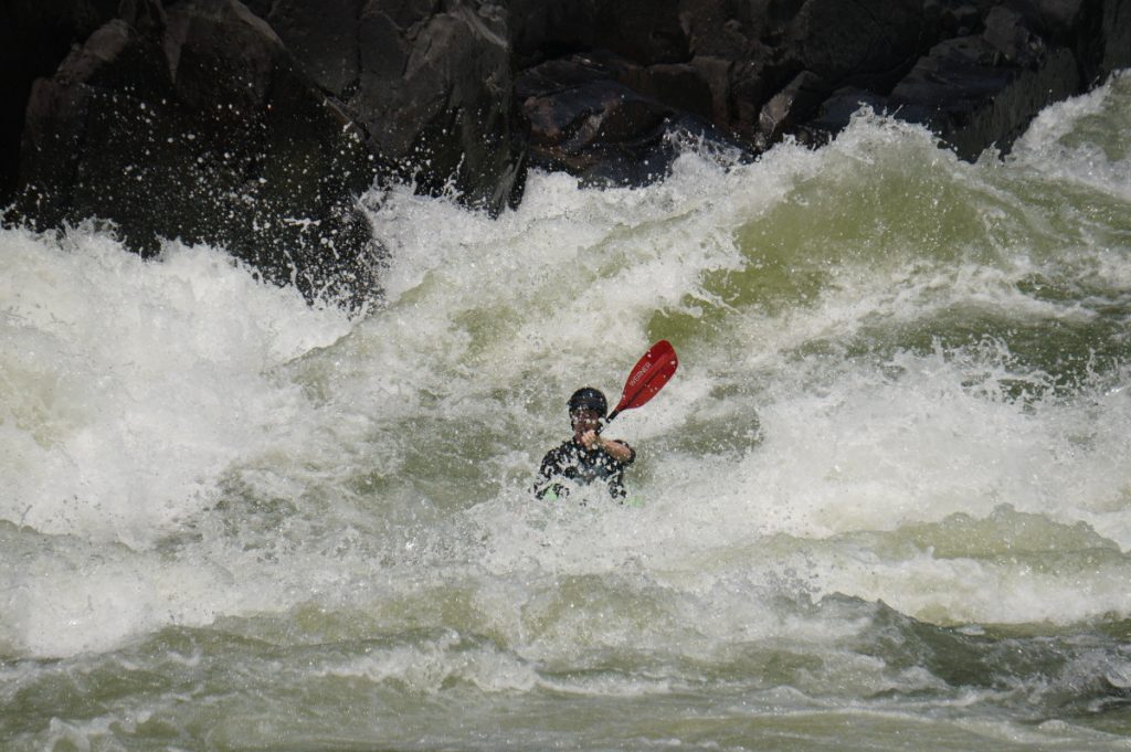 Decorative page header image