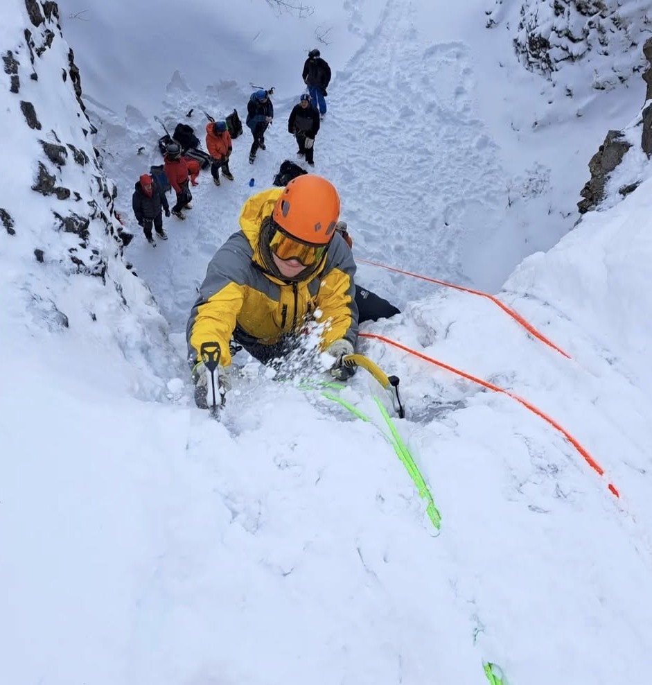 Decorative page header image