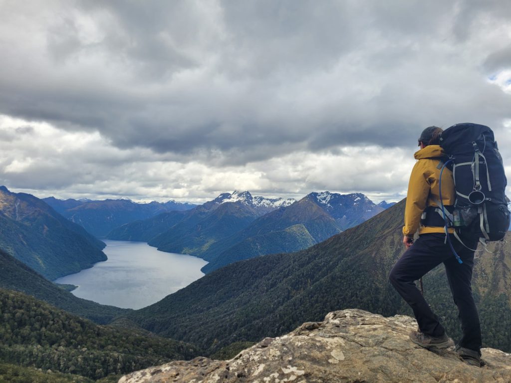 Decorative page header image