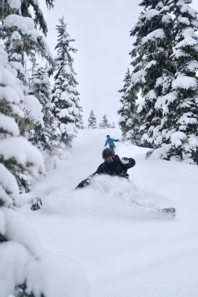 Decorative page header image